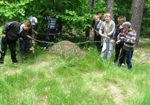 Операція «Мурашник»